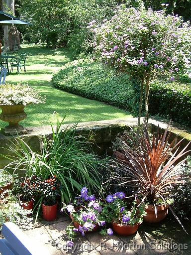 Pot colleciton patio